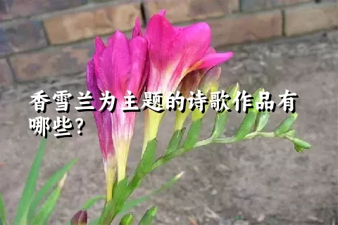 香雪兰为主题的诗歌作品有哪些？
