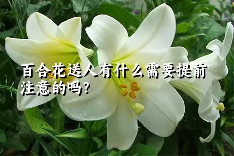 百合花送人有什么需要提前注意的吗？
