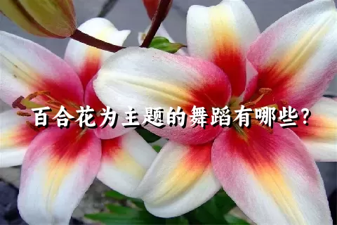 百合花为主题的舞蹈有哪些？