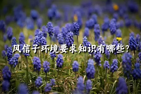 风信子环境要求知识有哪些？