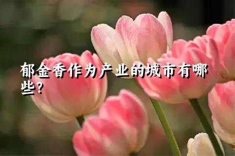 郁金香作为产业的城市有哪些？