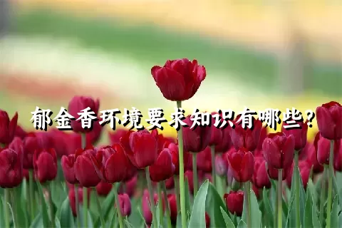 郁金香环境要求知识有哪些？