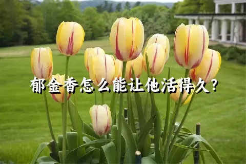 郁金香怎么能让他活得久？