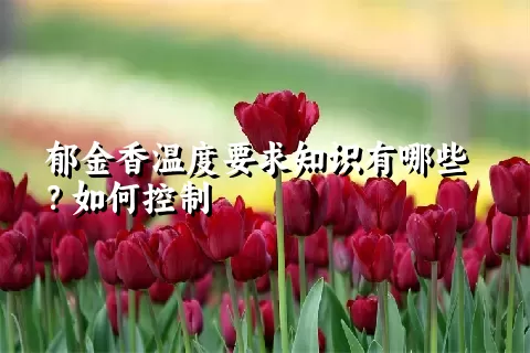 郁金香温度要求知识有哪些？如何控制