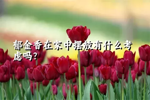郁金香在家中摆放有什么考虑吗？
