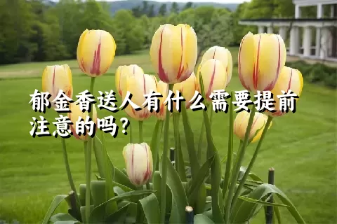 郁金香送人有什么需要提前注意的吗？