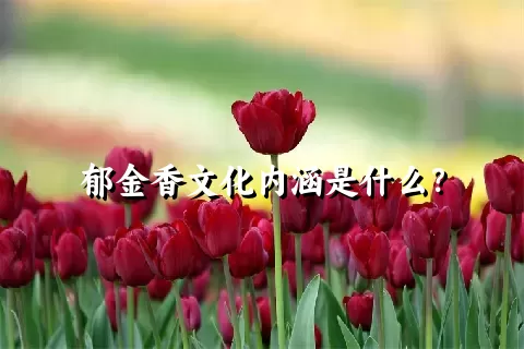 郁金香文化内涵是什么？