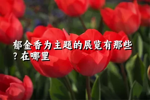 郁金香为主题的展览有那些？在哪里
