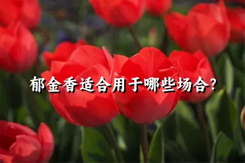 郁金香适合用于哪些场合？