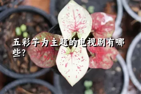 五彩芋为主题的电视剧有哪些？