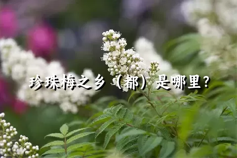珍珠梅之乡（都）是哪里？