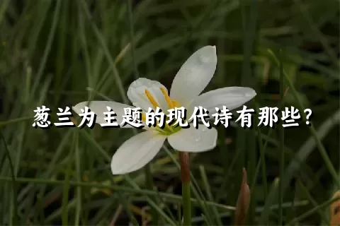 葱兰为主题的现代诗有那些？