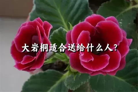 大岩桐适合送给什么人？
