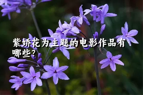 紫娇花为主题的电影作品有哪些？