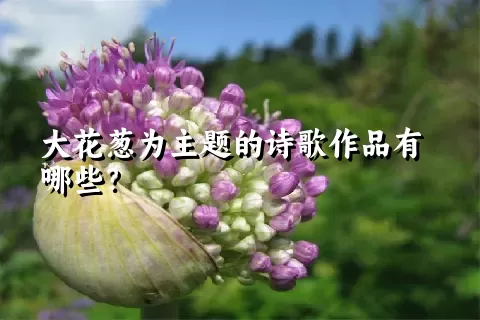 大花葱为主题的诗歌作品有哪些？