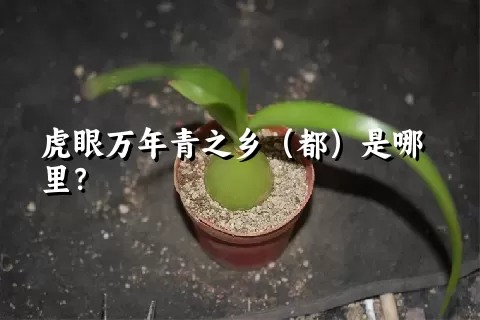 虎眼万年青之乡（都）是哪里？