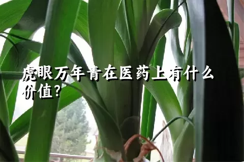 虎眼万年青在医药上有什么价值？