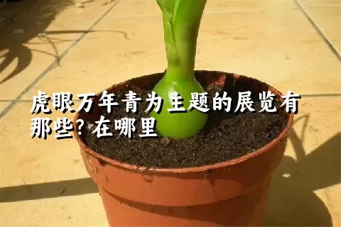 虎眼万年青为主题的展览有那些？在哪里