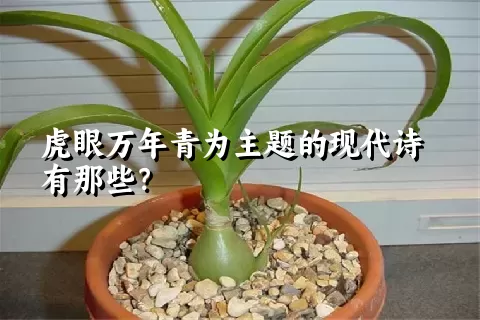 虎眼万年青为主题的现代诗有那些？
