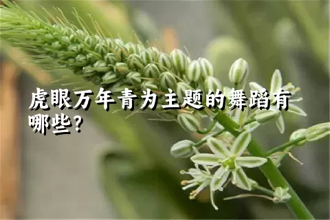虎眼万年青为主题的舞蹈有哪些？