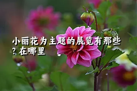 小丽花为主题的展览有那些？在哪里