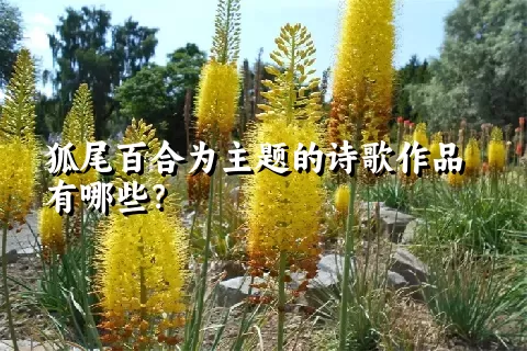 狐尾百合为主题的诗歌作品有哪些？
