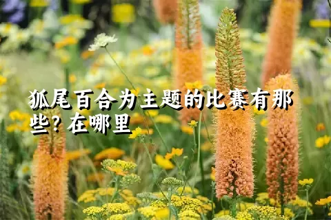 狐尾百合为主题的比赛有那些？在哪里