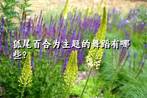 狐尾百合为主题的舞蹈有哪些？