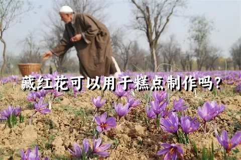 藏红花可以用于糕点制作吗？