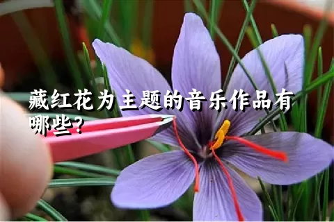 藏红花为主题的音乐作品有哪些？