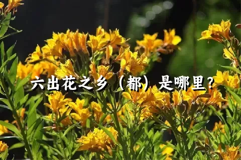 六出花之乡（都）是哪里？