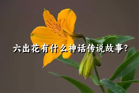 六出花有什么神话传说故事？