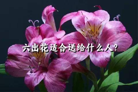 六出花适合送给什么人？