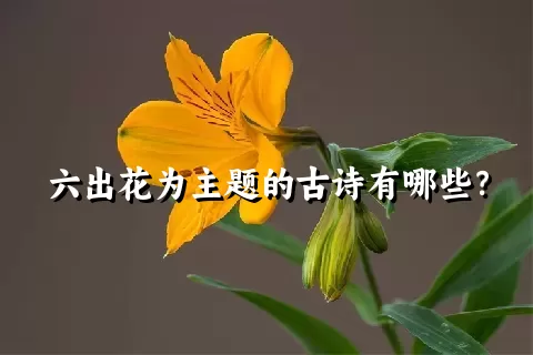 六出花为主题的古诗有哪些？