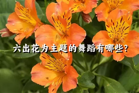 六出花为主题的舞蹈有哪些？
