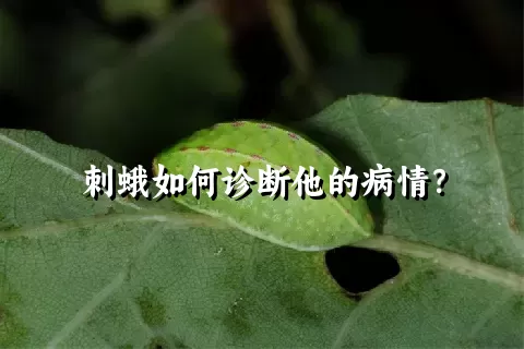 刺蛾如何诊断他的病情？