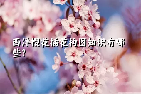 西洋樱花插花构图知识有哪些？