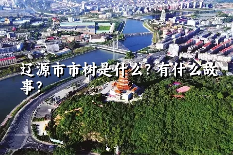 辽源市市树是什么？有什么故事？