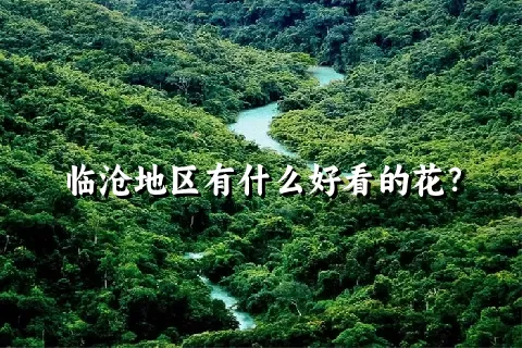 临沧地区有什么好看的花？