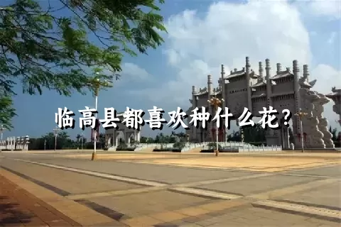 临高县都喜欢种什么花？