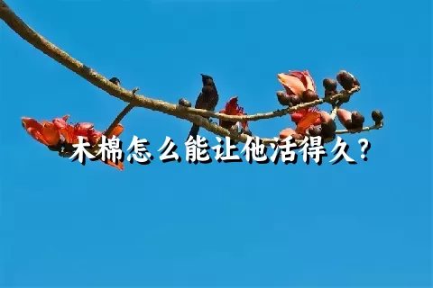 木棉怎么能让他活得久？