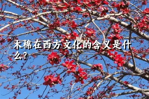 木棉在西方文化的含义是什么？