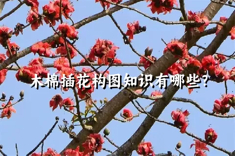 木棉插花构图知识有哪些？