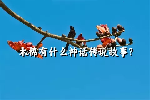 木棉有什么神话传说故事？