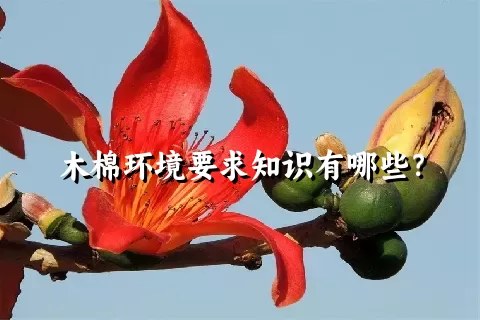 木棉环境要求知识有哪些？