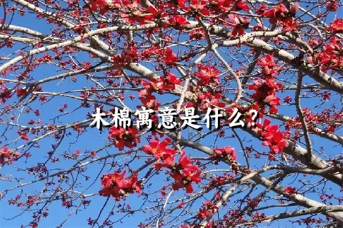 木棉寓意是什么？