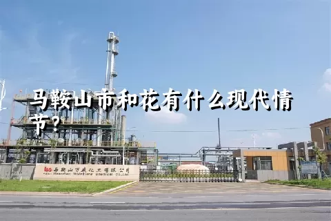 马鞍山市和花有什么现代情节？