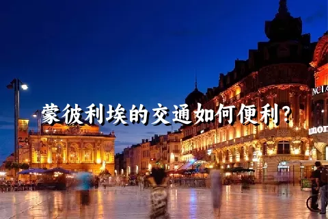 蒙彼利埃的交通如何便利？