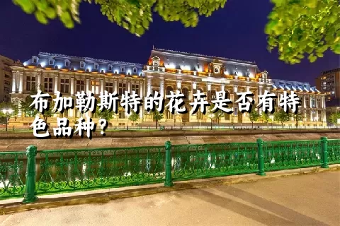 布加勒斯特的花卉是否有特色品种？
