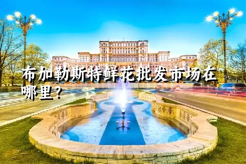 布加勒斯特鲜花批发市场在哪里？